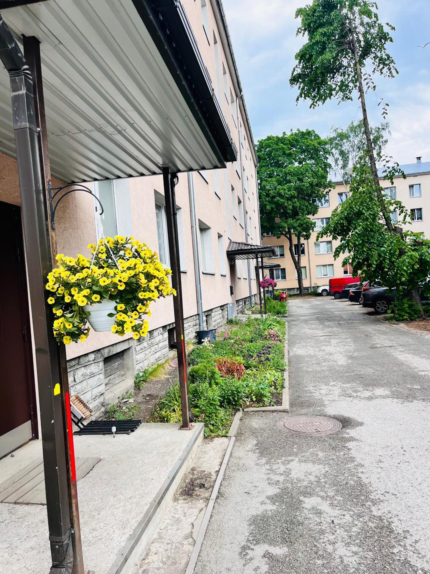 Tallinnhousing Studio For 4 With Free Parking Buitenkant foto